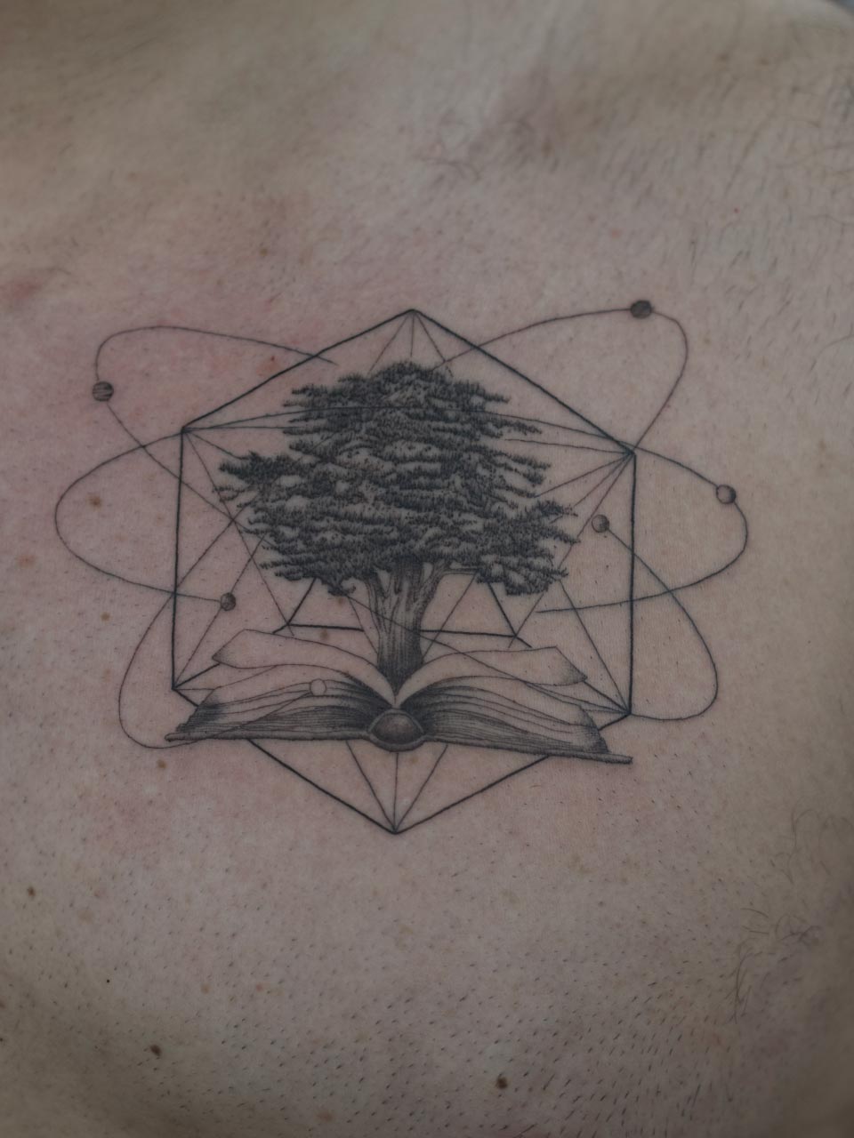 3_MICROREALISME FINELINE MEILLEUR TATTOO MARSEIILLE